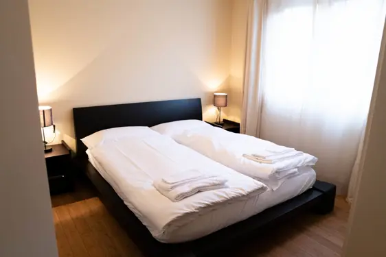 Chesa Seraina Luxury Apartments Engadine DSC5693 Chamois