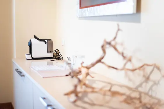 Chesa Seraina Luxury Apartments Engadine DSC8490 Tobacco
