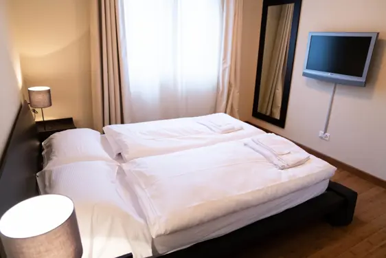 Chesa Seraina Luxury Apartments Engadine DSC5935 Sand