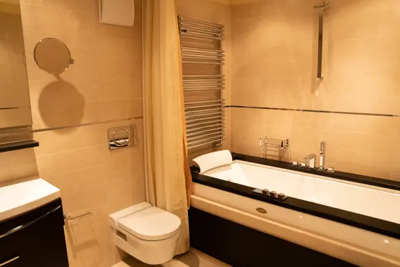 Chesa Seraina Luxury Apartments Engadine DSC5704 Chamois