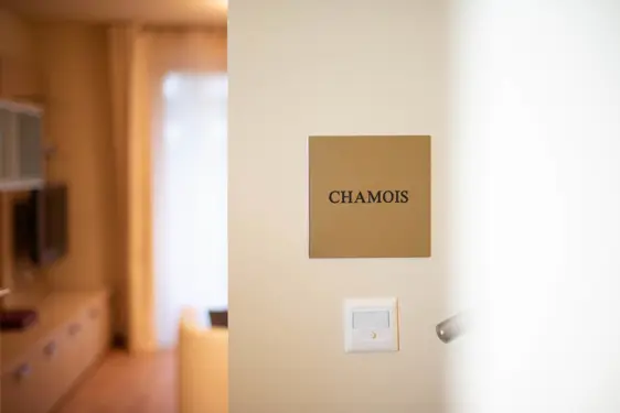 Chesa Seraina Luxury Apartments Engadine DSC8142 Chamois