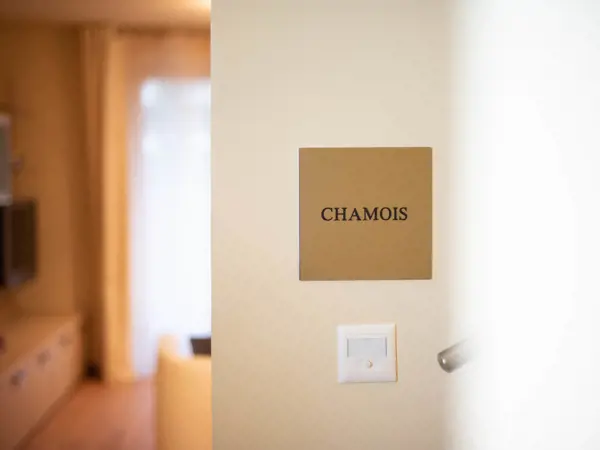 Chesa Seraina Luxury Apartments Engadine DSC8142 Chamois