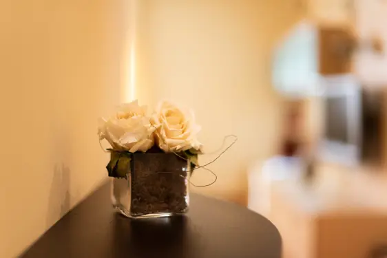 Chesa Seraina Luxury Apartments Engadine DSC8396 White