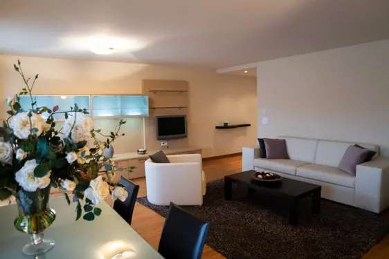 Chesa Seraina Luxury Apartments Engadine DSC5985 Sand