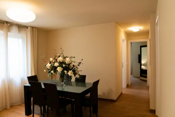 Chesa Seraina Luxury Apartments Engadine DSC6080 Ivory