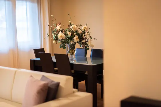 Chesa Seraina Luxury Apartments Engadine DSC8153 Chamois