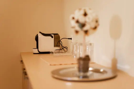 Chesa Seraina Luxury Apartments Engadine DSC8326 Cream