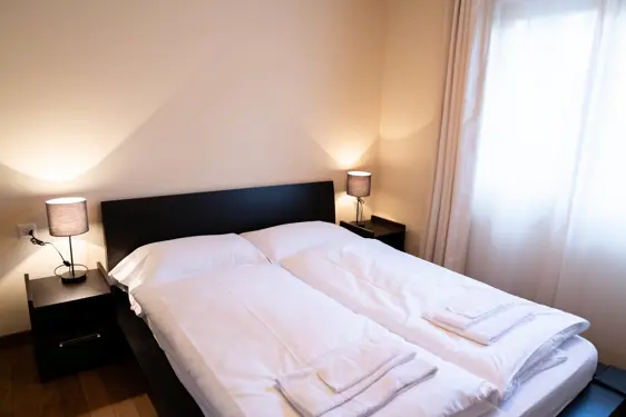 Chesa Seraina Luxury Apartments Engadine DSC5941 Sand